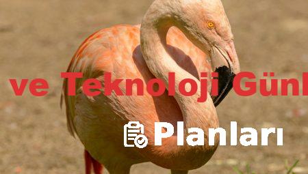 4 Sınıf Fen ve Teknoloji Günlük Planları